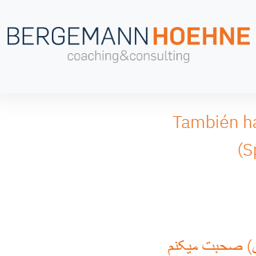 Bergemann & Höhne GbR logo